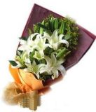 ԰ʻٵ